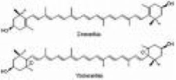 Zeaxanthin 